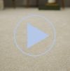 Fifth Avenue carpet video 